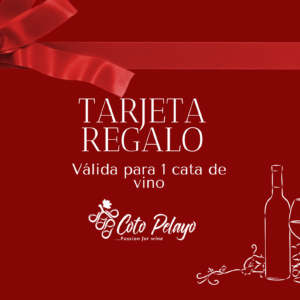 Tarjeta regalo - 1 persona