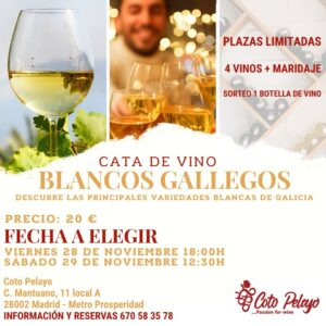 Imagen Cata de Vino Blancos Gallegos