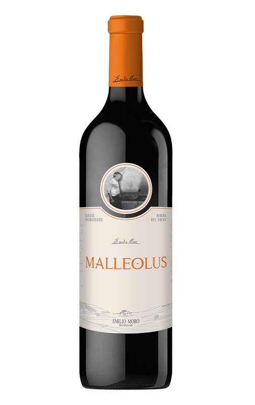 bot-malleolus-2022.png.webp